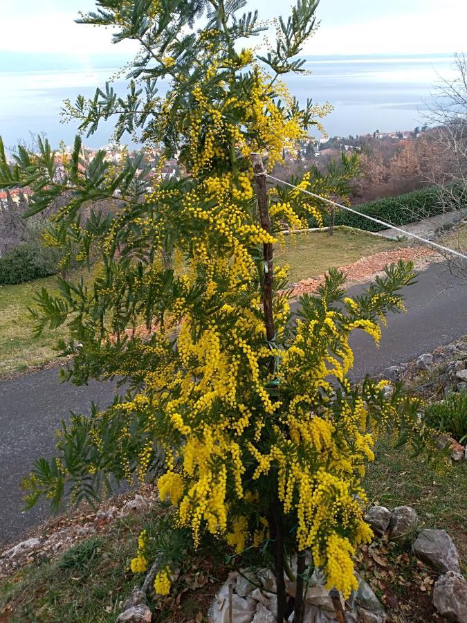 Amazing View Kvarner Bay Lovran Exterior foto